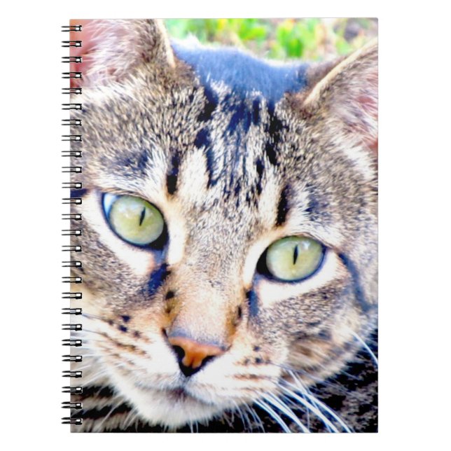 Cat Notebook (Front)