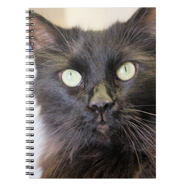 Cat  notebook (Front)