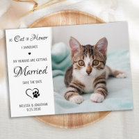 Cat Of Honour Personalised Pet Photo Cat Wedding