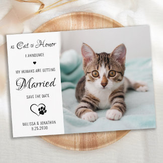 Cat Of Honour Personalised Pet Photo Cat Wedding Save The Date