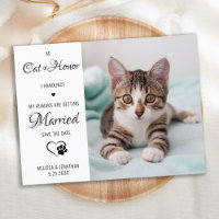 Cat Of Honour Pet Wedding Photo Save The Date