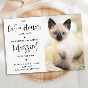 Cat Of Honour Save The Date