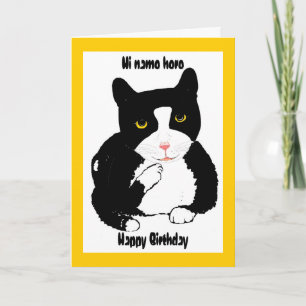 Cat on a Birthday Card add name