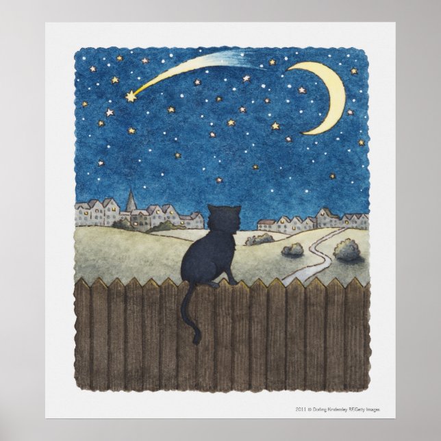 Cat on a fence looking at night sky above city poster (Front)