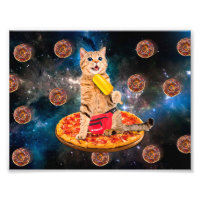 Cat on a pizza eating ice lolly