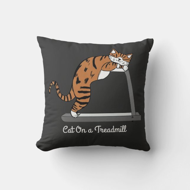 Cat on a treadmill cushion (Front)