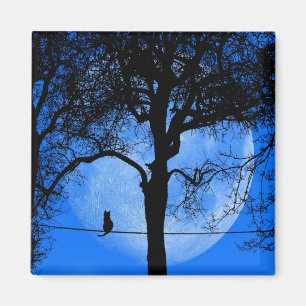 Cat on a Wire Blue Moon Magnet