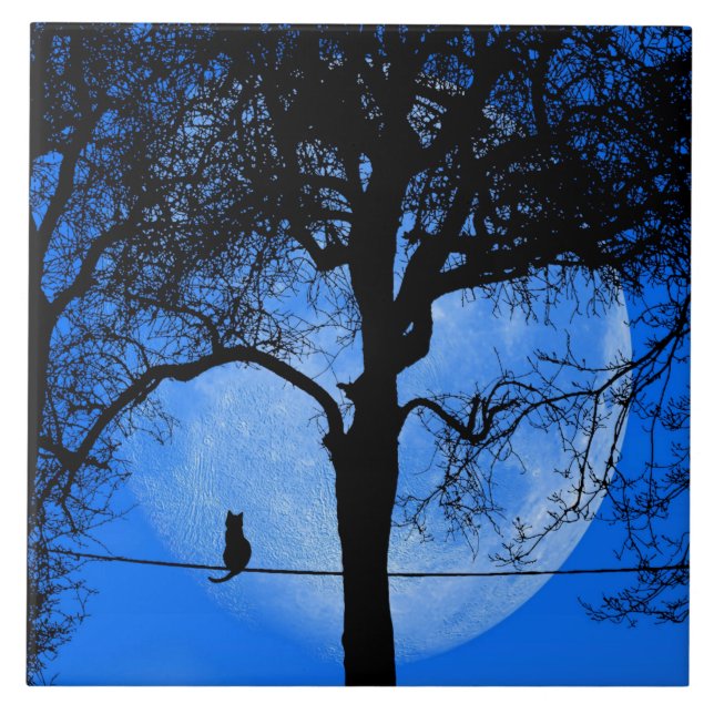Cat on a Wire Blue Moon Tile (Front)