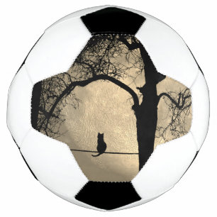 Cat on a Wire Full Moon Football