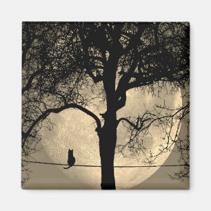 Cat on a Wire Full Moon Magnet