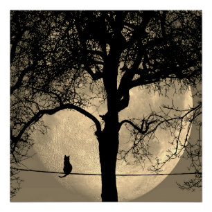 Cat on a Wire Full Moon Poster