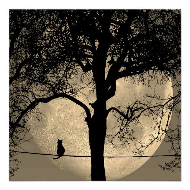 Cat on a Wire Full Moon Poster (Front)