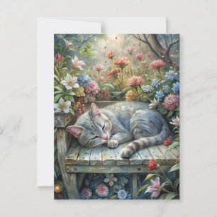 Cat on Bench Postcard
