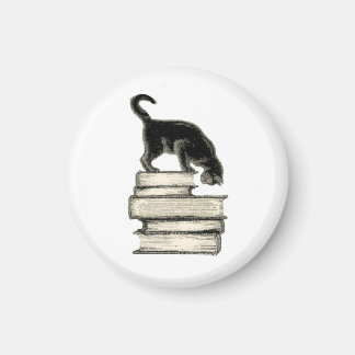 Cat on Books Magnet