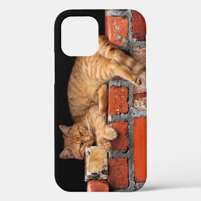 Cat on Brick Wall Case-Mate iPhone Case (Back)