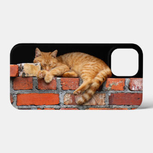 Cat on Brick Wall iPhone 13 Mini Case