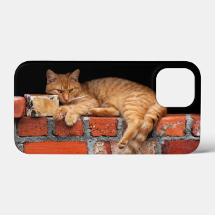 Cat on Brick Wall iPhone 13 Mini Case