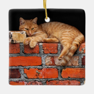 Cat on Brick Wall Ceramic Ornament