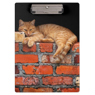 Cat on Brick Wall Clipboard