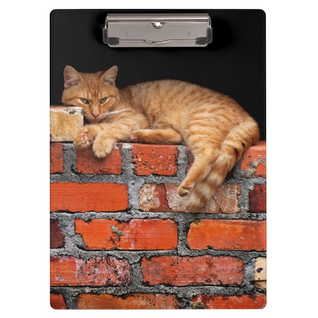 Cat on Brick Wall Clipboard (Front)