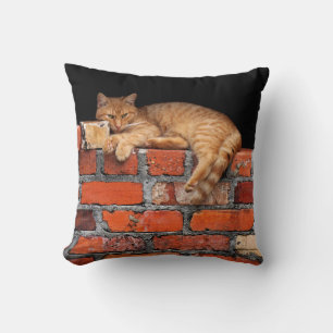 Cat on Brick Wall Cushion