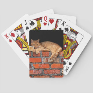 Cat on Brick Wall Playing Cards