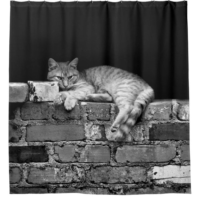 Cat on Brick Wall Shower Curtain (Front)