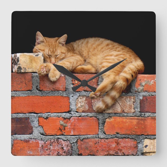 Cat on Brick Wall Square Wall Clock (Front)