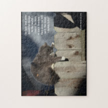 Cat on Fence #9 (Personalise Quote)