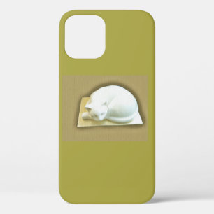 Cat on Gold Box II Case-Mate Samsung Galaxy Case