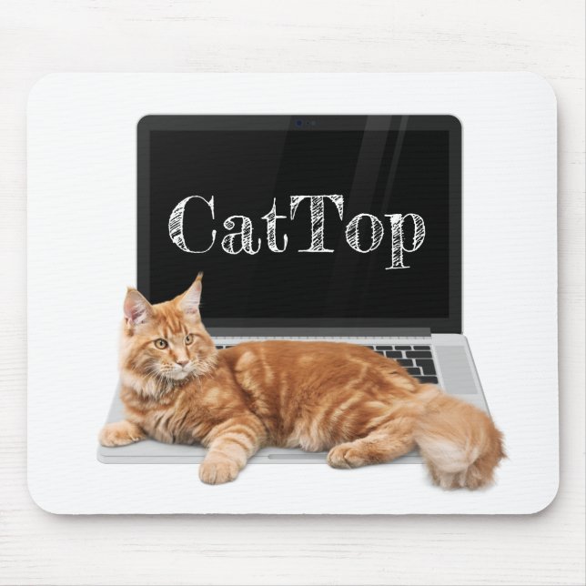 Cat on Laptop - CatTop Mouse Mat (Front)