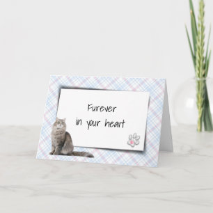 Cat On Plaid Pet Loss Sympathy Card