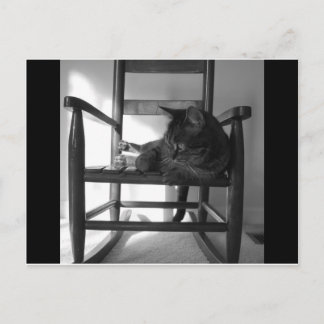 Cat on rocker postcard
