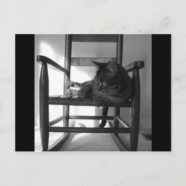 Cat on rocker postcard (Front)