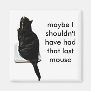 Cat on scales magnet