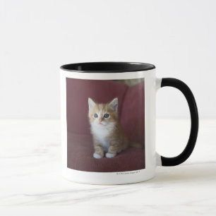 Cat on sofa mug