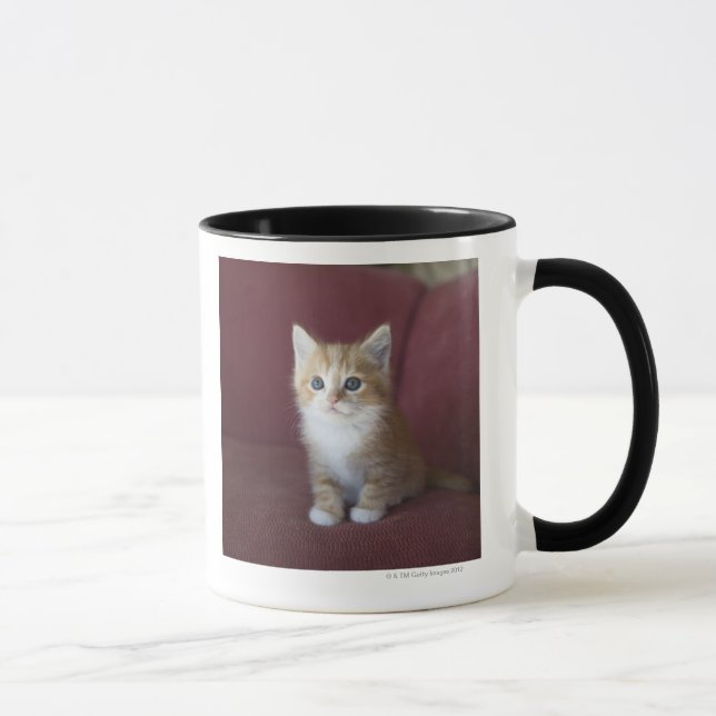 Cat on sofa mug (Right)