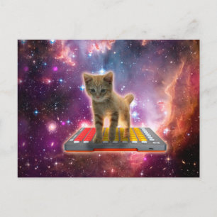 Cat on synthesizers in space postcard