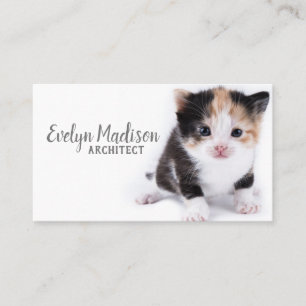Cat On The White Business Card