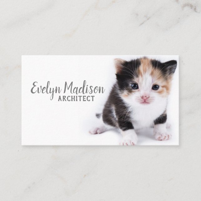 Cat On The White Business Card (Front)