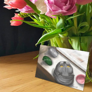 Cat on the windowsill postcard