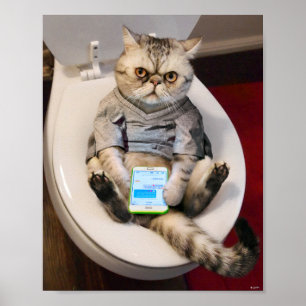 Cat on Toilet Poster