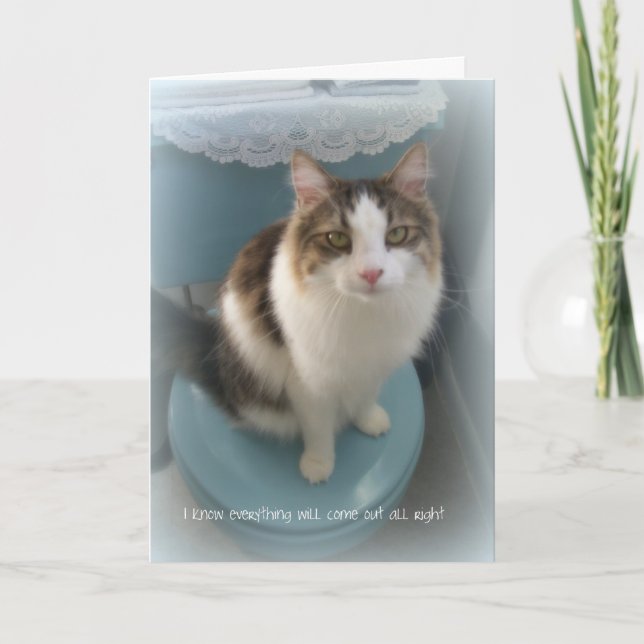 Cat on Toilet Support Greeting Card (Front)