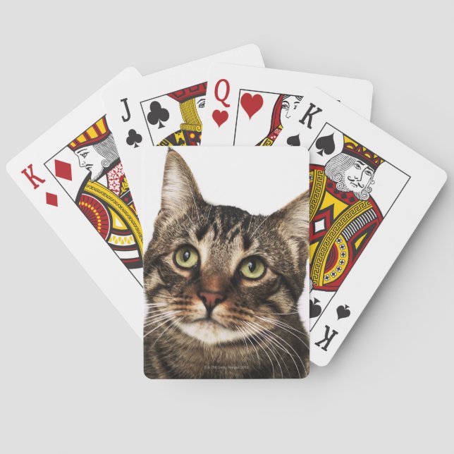 Cat on white background 2 playing cards (Back)