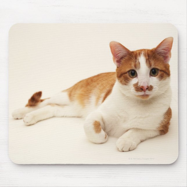 Cat on white background mouse mat (Front)