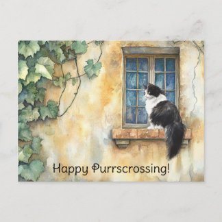 Cat on Windowsill Postcrossing - Postcard