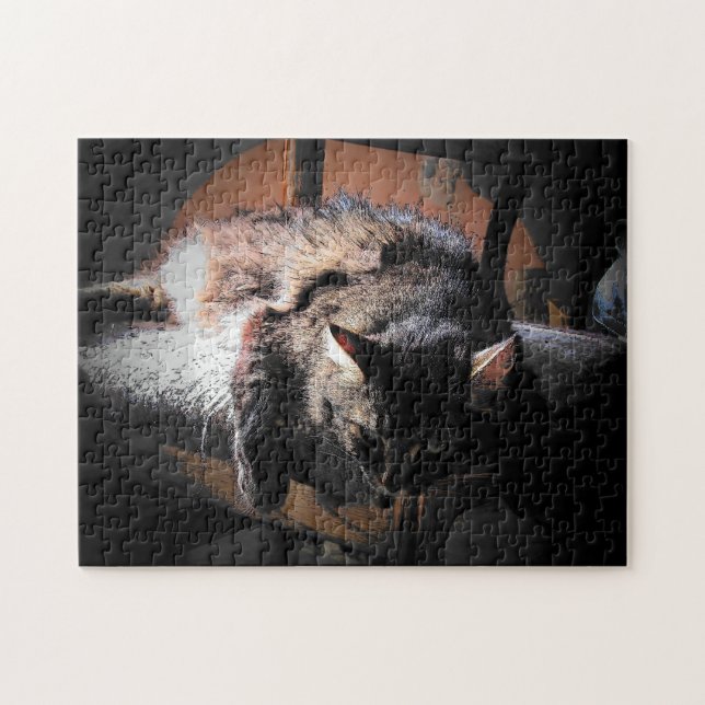 Cat or your photo jigsaw puzzle (Horizontal)