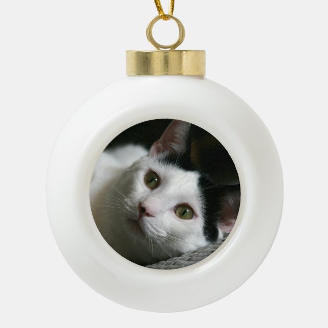 Cat Ornament (Front)