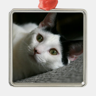 Cat Ornament