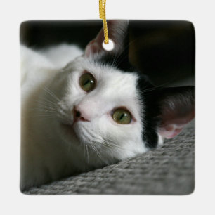 Cat Ornament